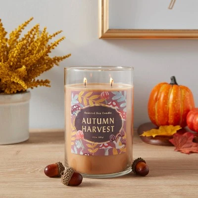 21.5oz Lidded Glass Jar 2-Wick Autumn Harvest Candle - Opalhouse™ 21.5oz Lidded Glass Jar 2-Wick Autumn Harvest Candle - Opalhouse™ -Opalhouse Shop GUEST d493f41a 53f3 49af 851d 75c34df8924a