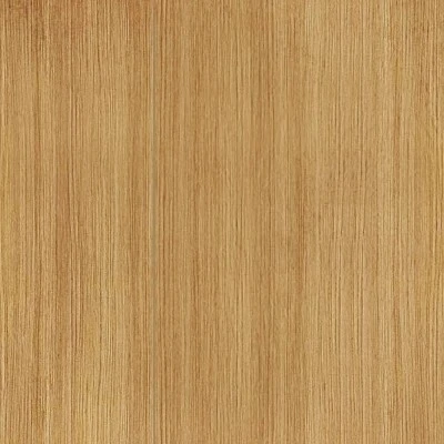 Calla Canopy Patio Accent Chair - White - Opalhouse™ Calla Canopy Patio Accent Chair - White - Opalhouse™ -Opalhouse Shop GUEST fa6f608c 61ed 4994 b9eb 9bac7bade9fd